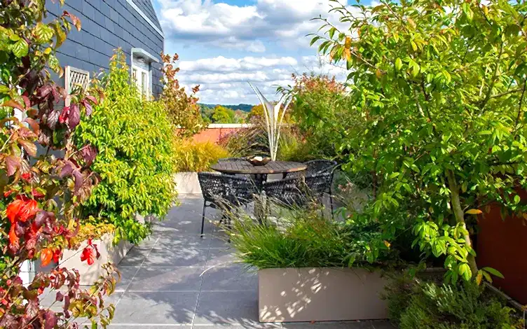 surrey rooftop