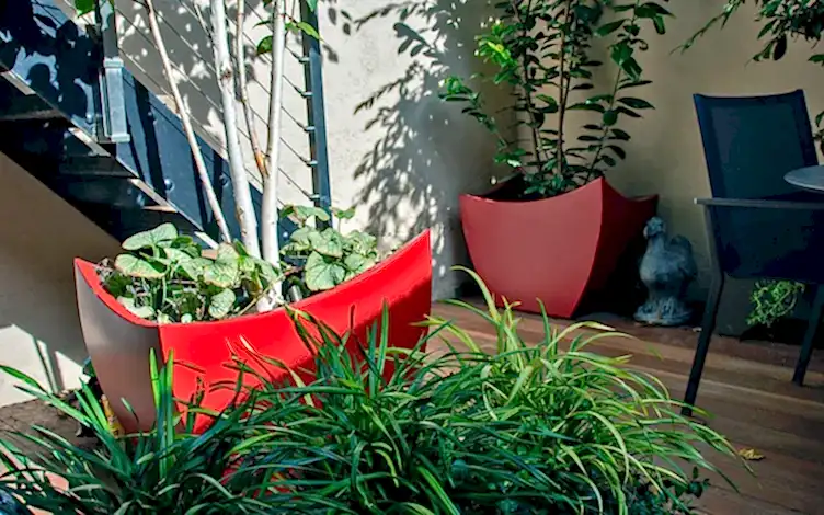 red planters