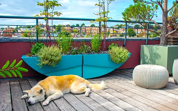 chic rooftop