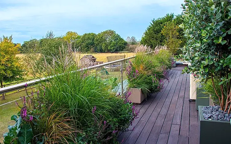 country roof garden