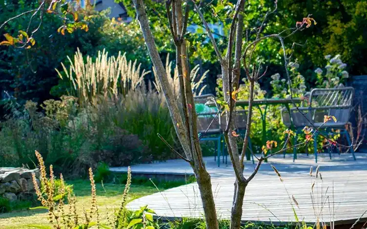 calamagrostis