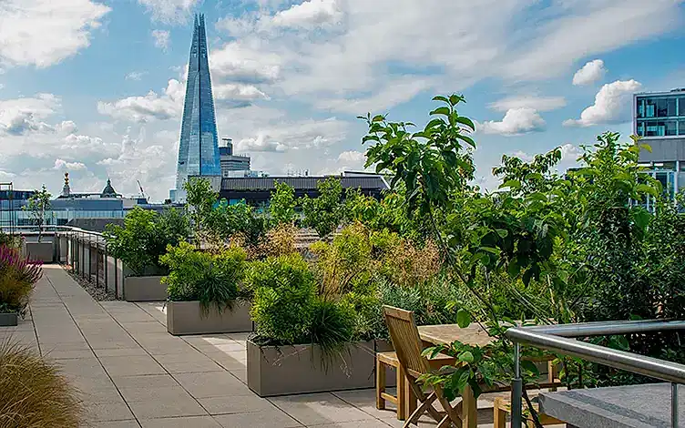 office terrace