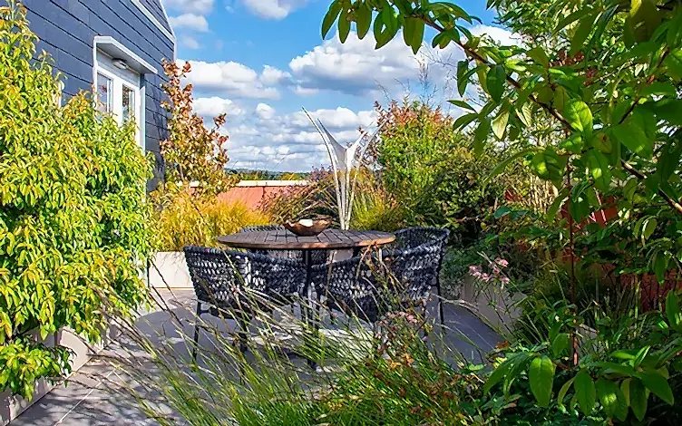 modern rooftop