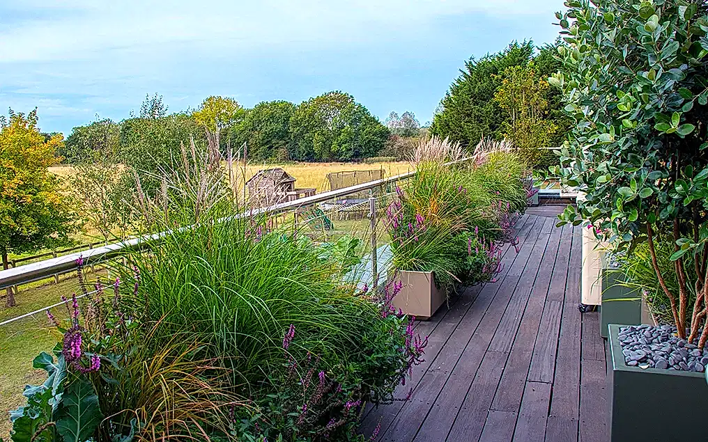 wd3 roof garden
