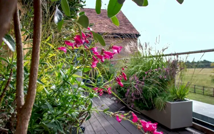 colour