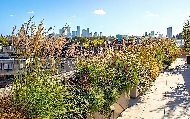 city roof garden