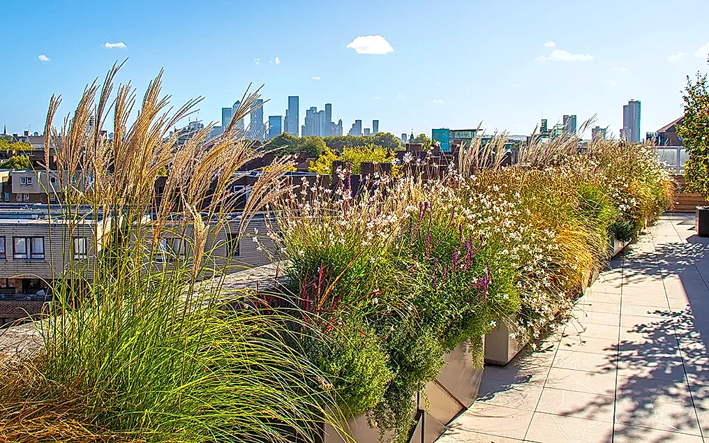 tower bridge roof garden