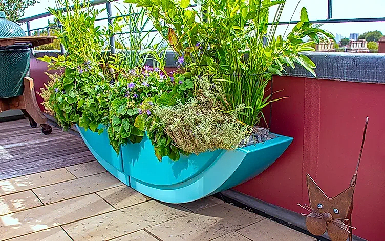 planter