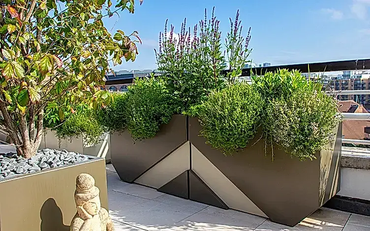 planters