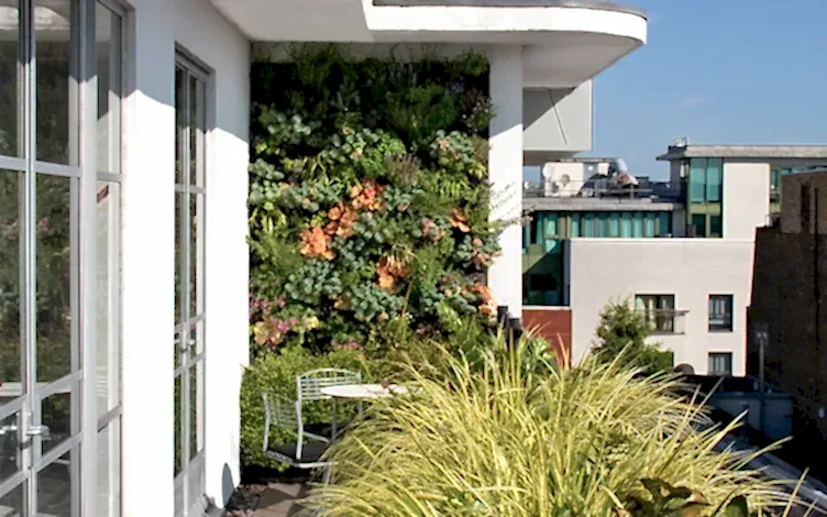 green wall